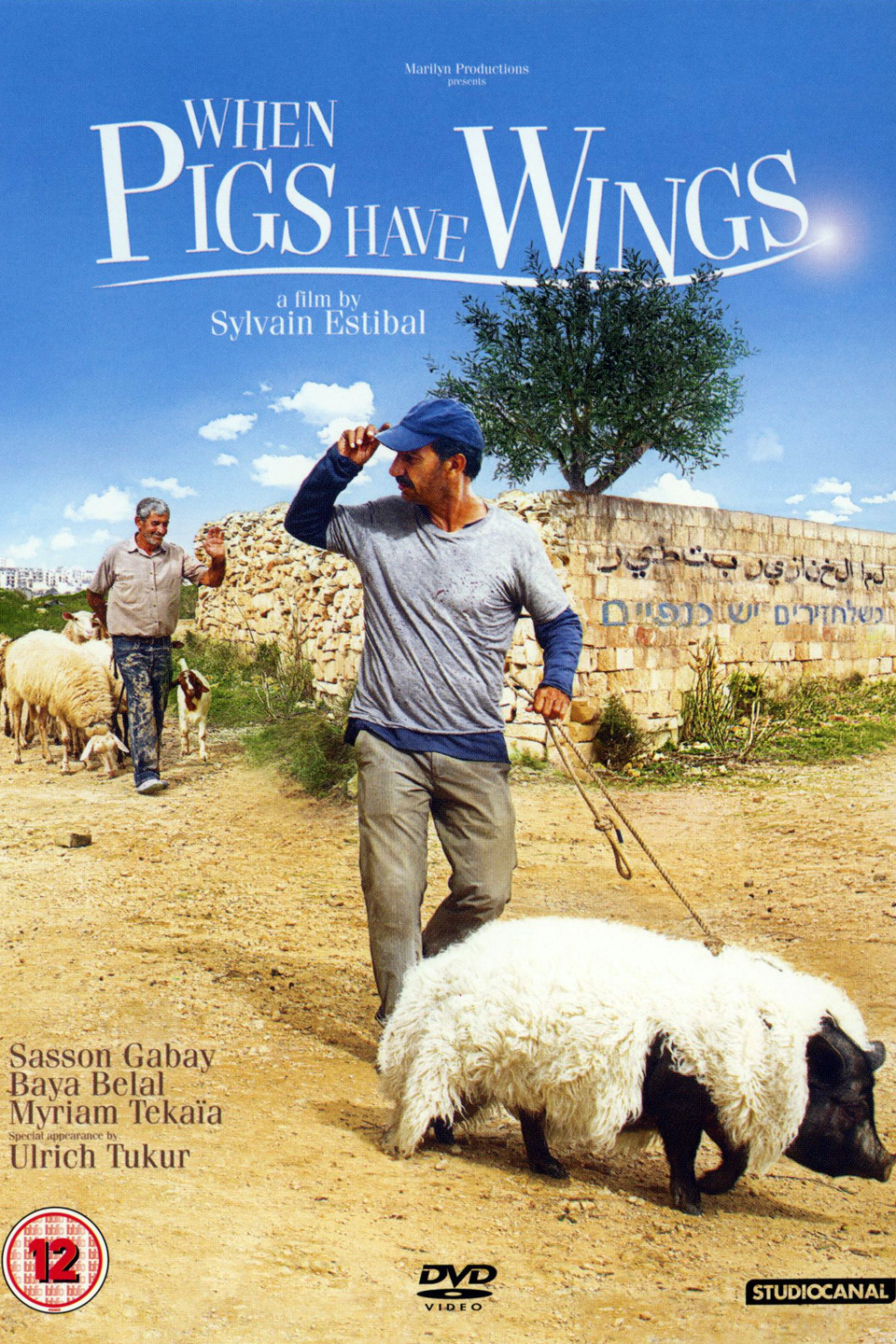 When Pigs Have Wings (2011) Bluray 720P 700Mb Ganool