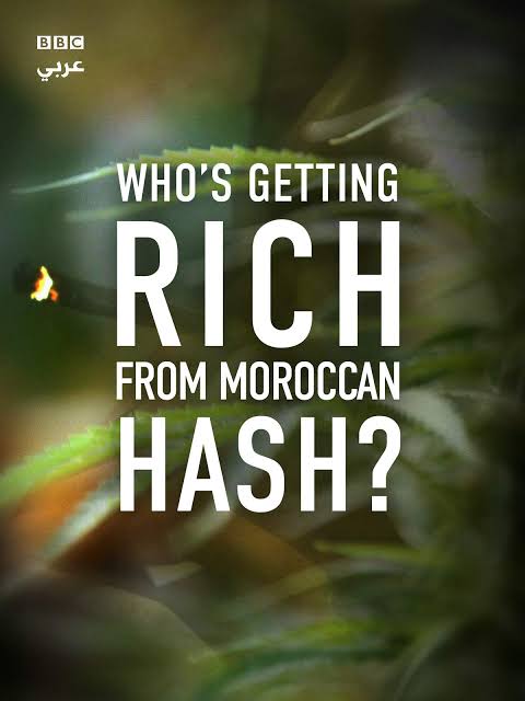 Whos Getting Rich From Moroccan Hash 2019 720P Amzn Webrip 800Mb X264-Galaxyrg