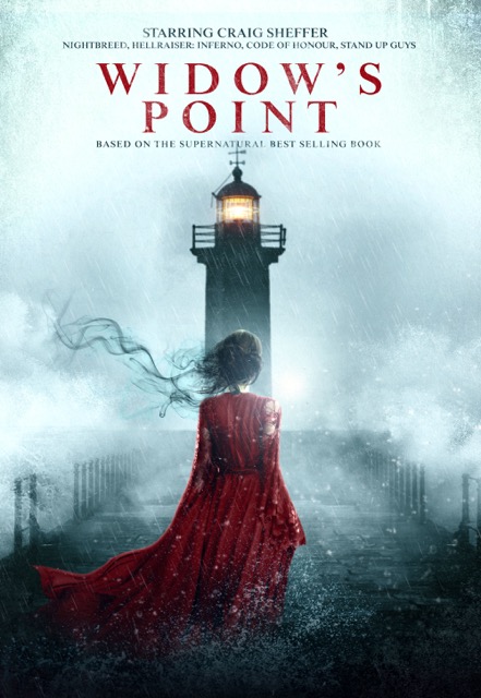 Widows Point 2019 720P Webrip 800Mb X264-Galaxyrg