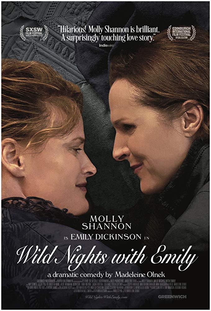 Wild Nights With Emily 2018 720P Webrip 800Mb X264-Galaxyrg