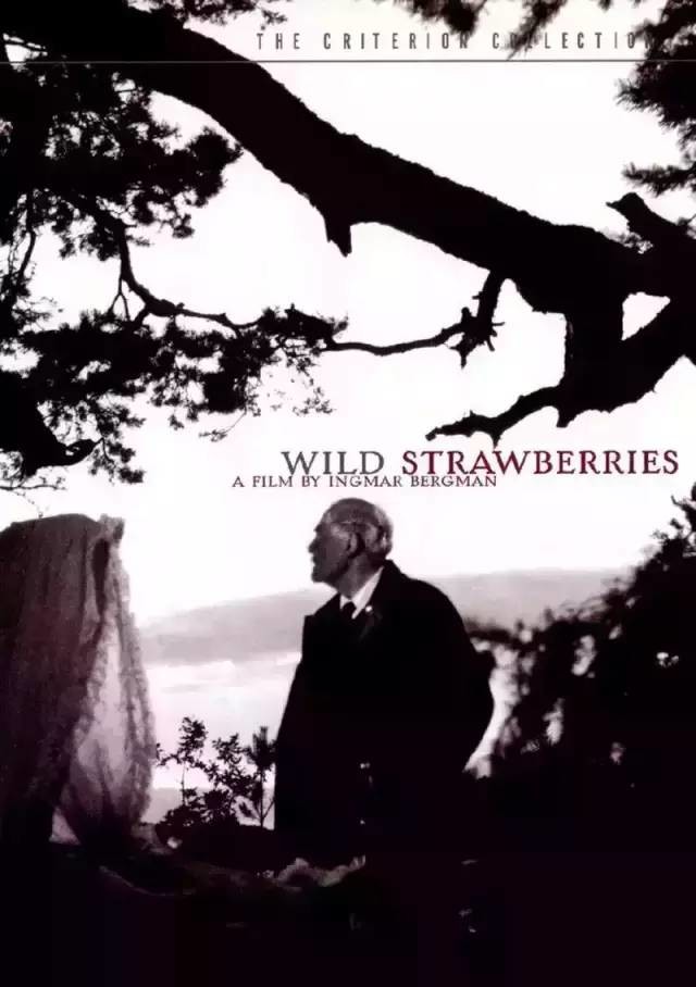 Wild Strawberries 1957 720P Brrip 700Mb Mkvcage