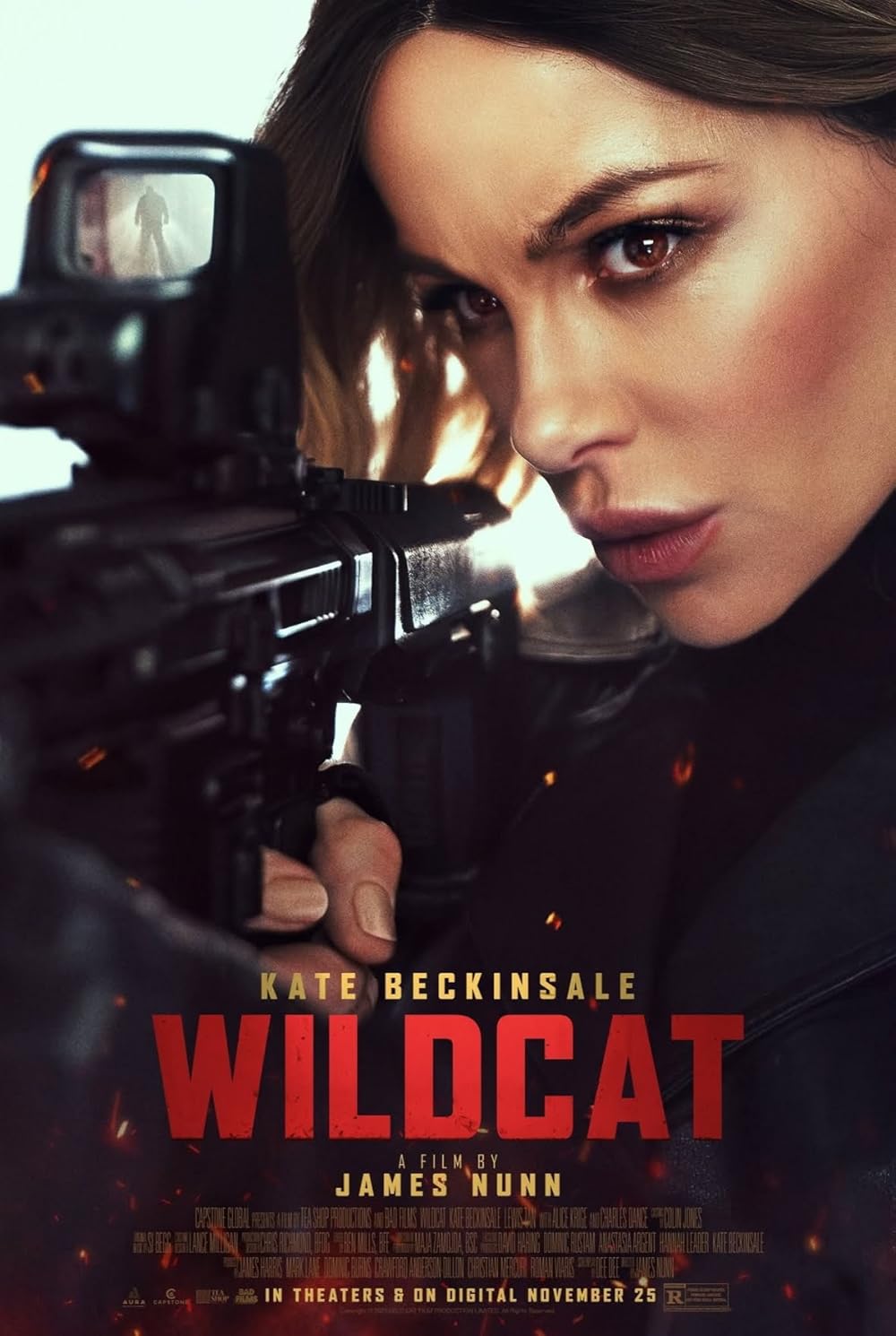 Wildcat (2025) 720P Amzn-Web X264 Esub [Dual Audio][Hindi 2 0 English 5 1] -Msmod