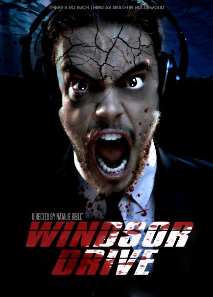 Windsor Drive 2015 720P Web-Dl 700Mb Shaanig