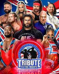 WWE Tribute to the Troops 2010