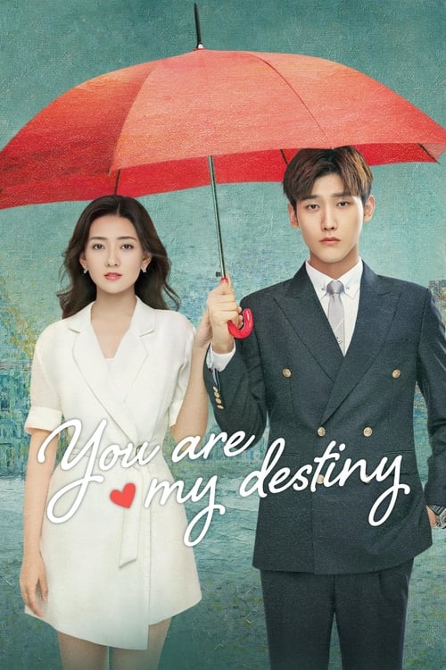 You Are My Destiny S01E01 720P Amzn Webrip X265 Hevc Esub [Dual Audio][Hindi 2 0 Korean 2 0] -Msmod