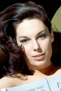 Tracy Reed