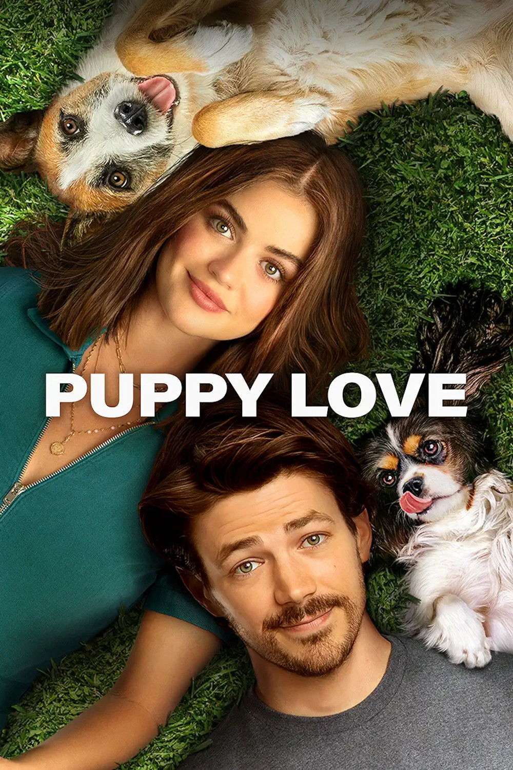 Puppy Love
