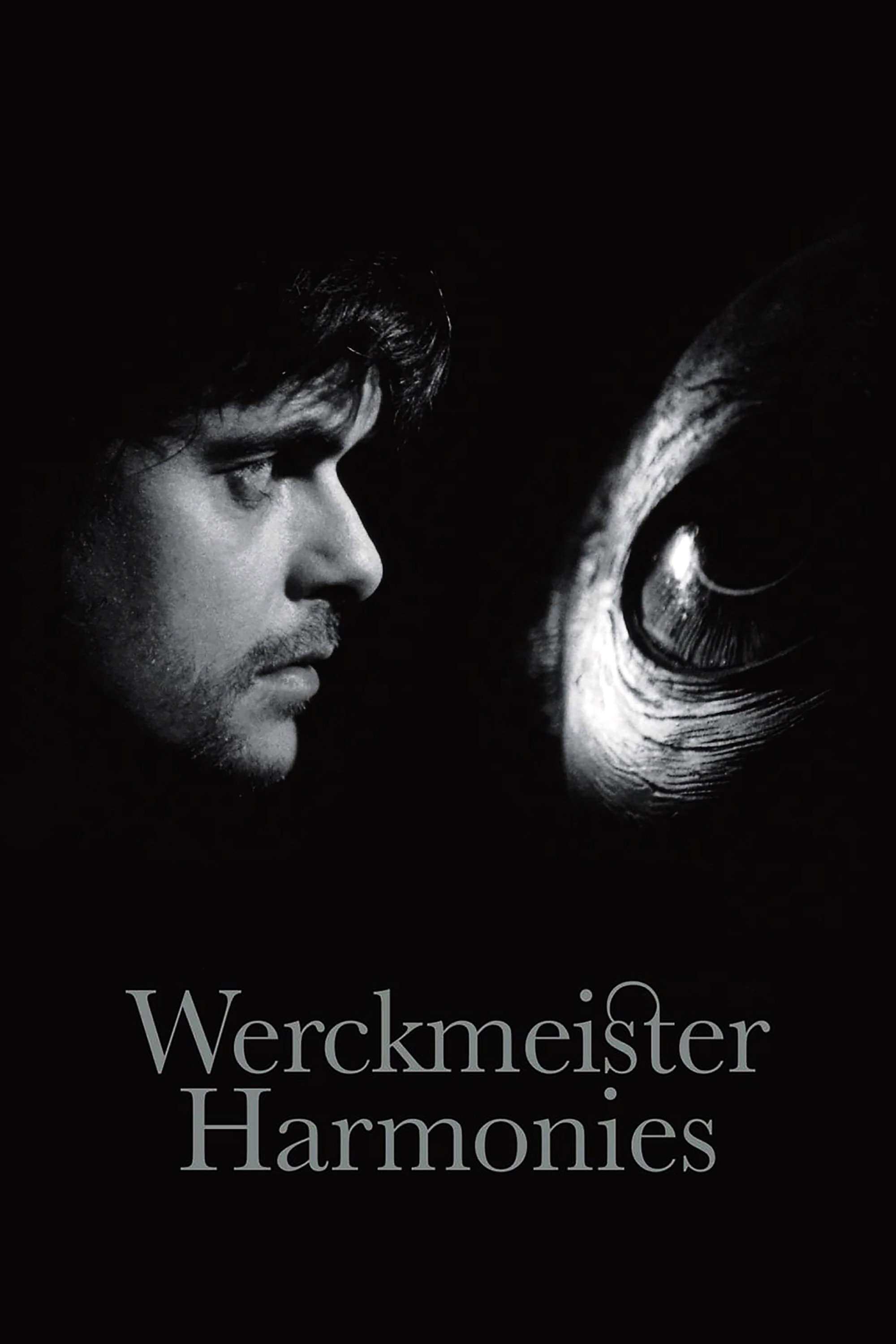 Werckmeister Harmonies