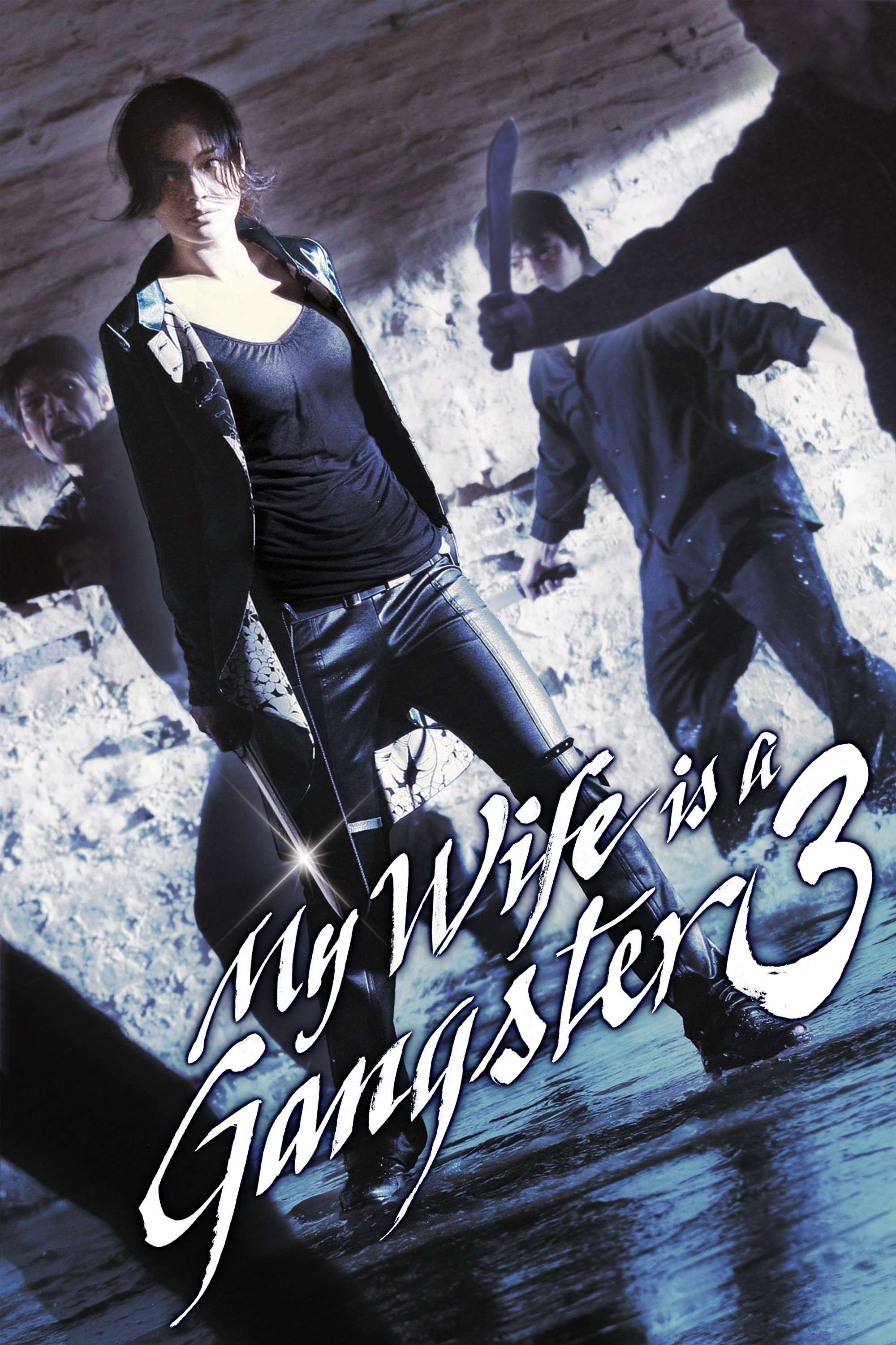 My Wife Is a Gangster 3